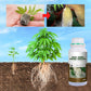 Plant Rooting & Seedling Strengthening Agent（50% OFF）