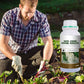 Plant Rooting & Seedling Strengthening Agent（50% OFF）