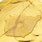 ✨Hot Sale Deals-Weather Resistant Water-based Gold Paint