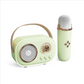 🔥Hot Sale - 60% KORTING (Gratis winkelen)🔥Draagbare Bluetooth-luidspreker met draadloze microfoon