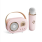 🔥Hot Sale - 60% KORTING (Gratis winkelen)🔥Draagbare Bluetooth-luidspreker met draadloze microfoon