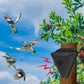 Waterproof Solar Outdoor Bird Repeller（50% OFF）
