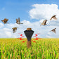 Waterproof Solar Outdoor Bird Repeller（50% OFF）