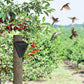 Waterproof Solar Outdoor Bird Repeller（50% OFF）