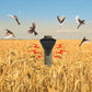 Waterproof Solar Outdoor Bird Repeller（50% OFF）
