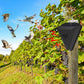 Waterproof Solar Outdoor Bird Repeller（50% OFF）