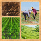 ⛏️✨Agricultural Nail Harrow