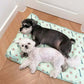 Katten/honden koelbed